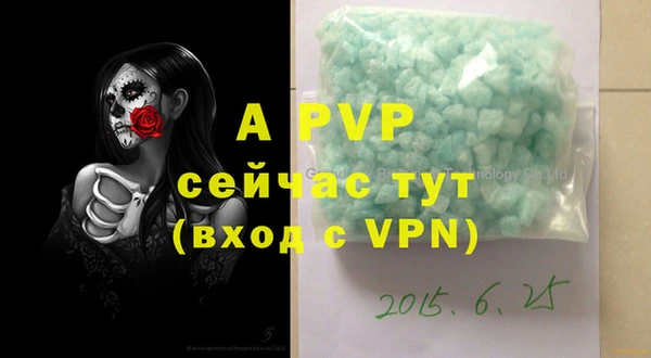 дмт Белокуриха