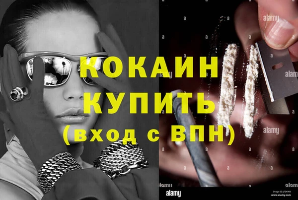 дмт Белокуриха