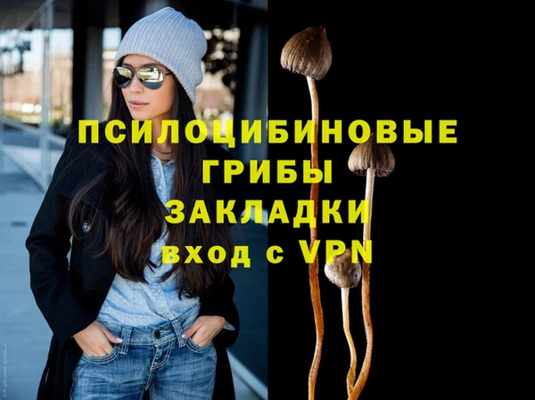 дмт Белокуриха